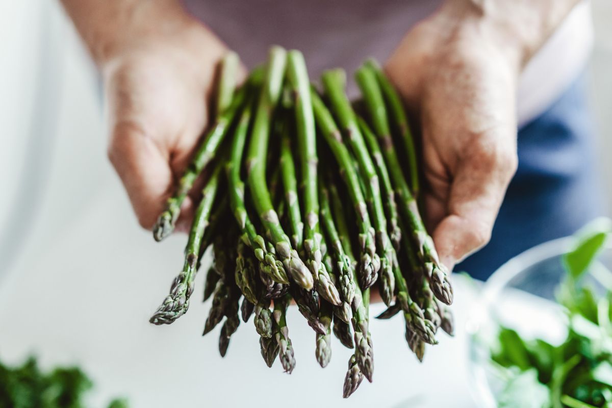 Qu'est-ce que cette asperge et les façons les plus savoureuses de la préparer et de la manger.