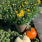 Stowe Sandwich Company Extérieur