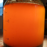 Brasserie X Poitou Comida