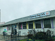 Runway Dog Cafe inside