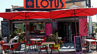 Lotus Cafe Zen inside