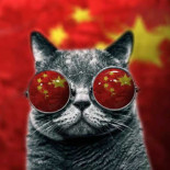 Nouveau Délice De Pontoise Nourriture