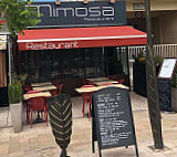 Mimosa inside