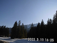 Moni Alm inside