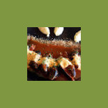 Du Côté De Chez Fred Essen