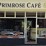 Primrose outside