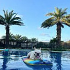 3hào Kā Fēi No.3 Cafe Carte