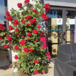 Le Festin Chez Gillou (la Guinguette) inside