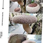 Bā Jiǎ Xiū Xián Yú Chǎng À l'intérieur