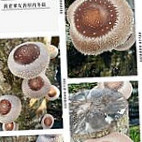 Bā Jiǎ Xiū Xián Yú Chǎng Carte