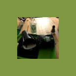 Burger Green Nourriture