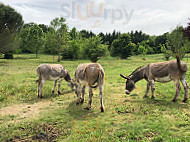 La Campagne St Lazare Chambres, Et Seminaire, Nature Forcalquier outside