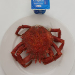 Ets Gouguec Exterior