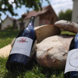 Au Comptoir Des Colettes Dentro