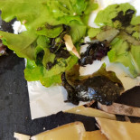 Frappé Par Bloom Food