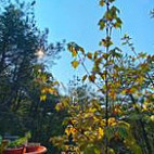 Tǎ Tǎ Jiā Cān Yǐn Bù Yún Bào Xiū Xián Yǒu Xiàn Gōng Sī Extérieur