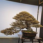 § Bǎo Dé Wàng Fǎ Guó Chá Fāng § Extérieur