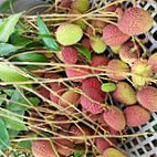 คันแท ริมคลอง ขอนแก่น Kantae Rimklong Khonkaen Nourriture