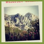 Maison Sainte-victoire Nourriture