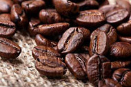 Calusa Coffee Roasters food