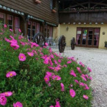 Auberge du Traquet outside