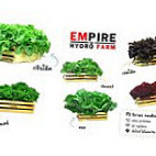 เอ็มไพร์ ไฮโดรฟาร์ม Extérieur