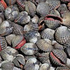 ด่านริมเล Extérieur