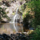 Chez Berry Nourriture