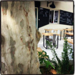 La Cuisine Du Potager À l'intérieur