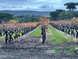 Domaine Au Cœur Des Vignes outside