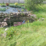 Relais Du Bois Léger Nourriture