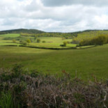 La Croisée Des Chemins Comida