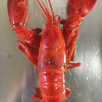 Little Harbor Lobster Company food