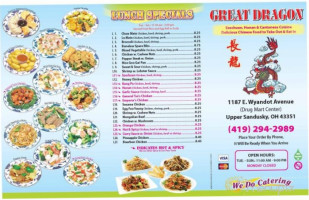 Great Dragon Chinese food