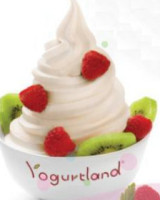 Yogurtland food