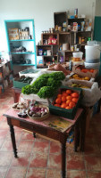 Les Ginettes Leur épicerie Générale food