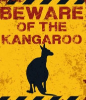 Lost Kangaroo Pub food