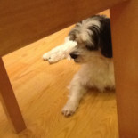 Chang Sheng Nourriture