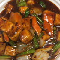 Tasty Bites Halal Desi Chinese food