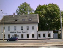 Gasthaus Grüner Baum Gaststätte outside