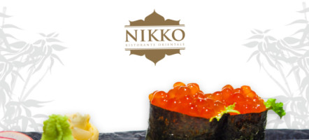 Nikko food