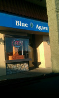 Blue Agave food
