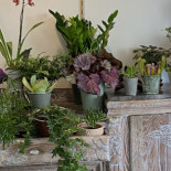 A Table, Capucine Essen