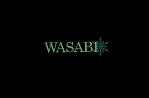 Wasabi Gallivare food