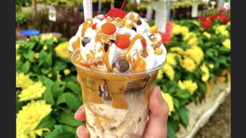 Sunshine Sundaes food