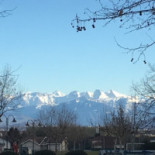 Auberge Communale De Cessy food