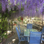 U Vechju Mulinu Feliceto Comida