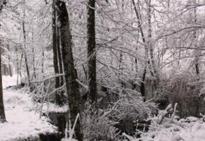 Rifugio Asqua outside