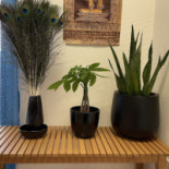 Couleurs D'asie Comida