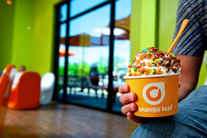 Orange Leaf food